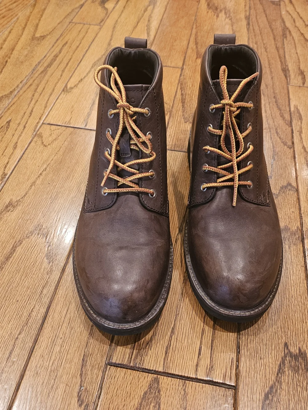 Ecco these chukka